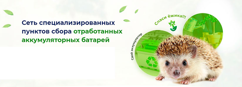 Экосфера Экосфера